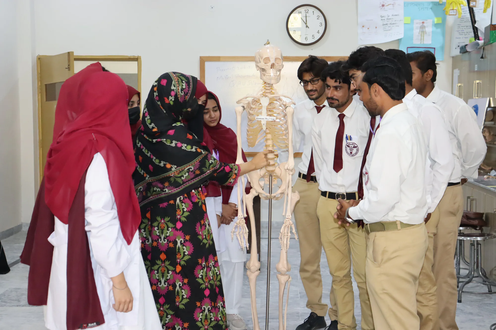 Physical Therapy laboratory at ONIMS — photo 3