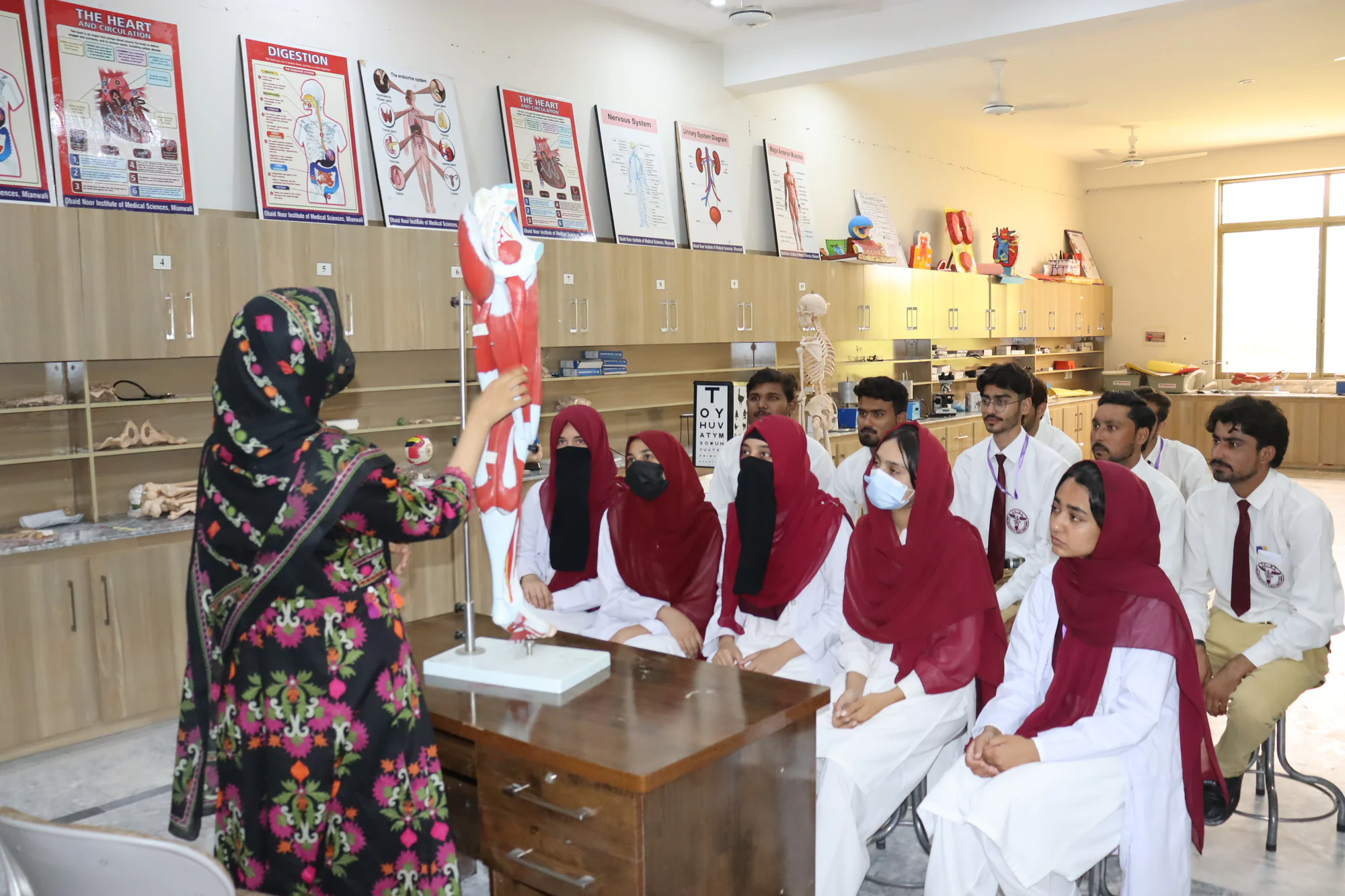 Physical Therapy laboratory at ONIMS — photo 4