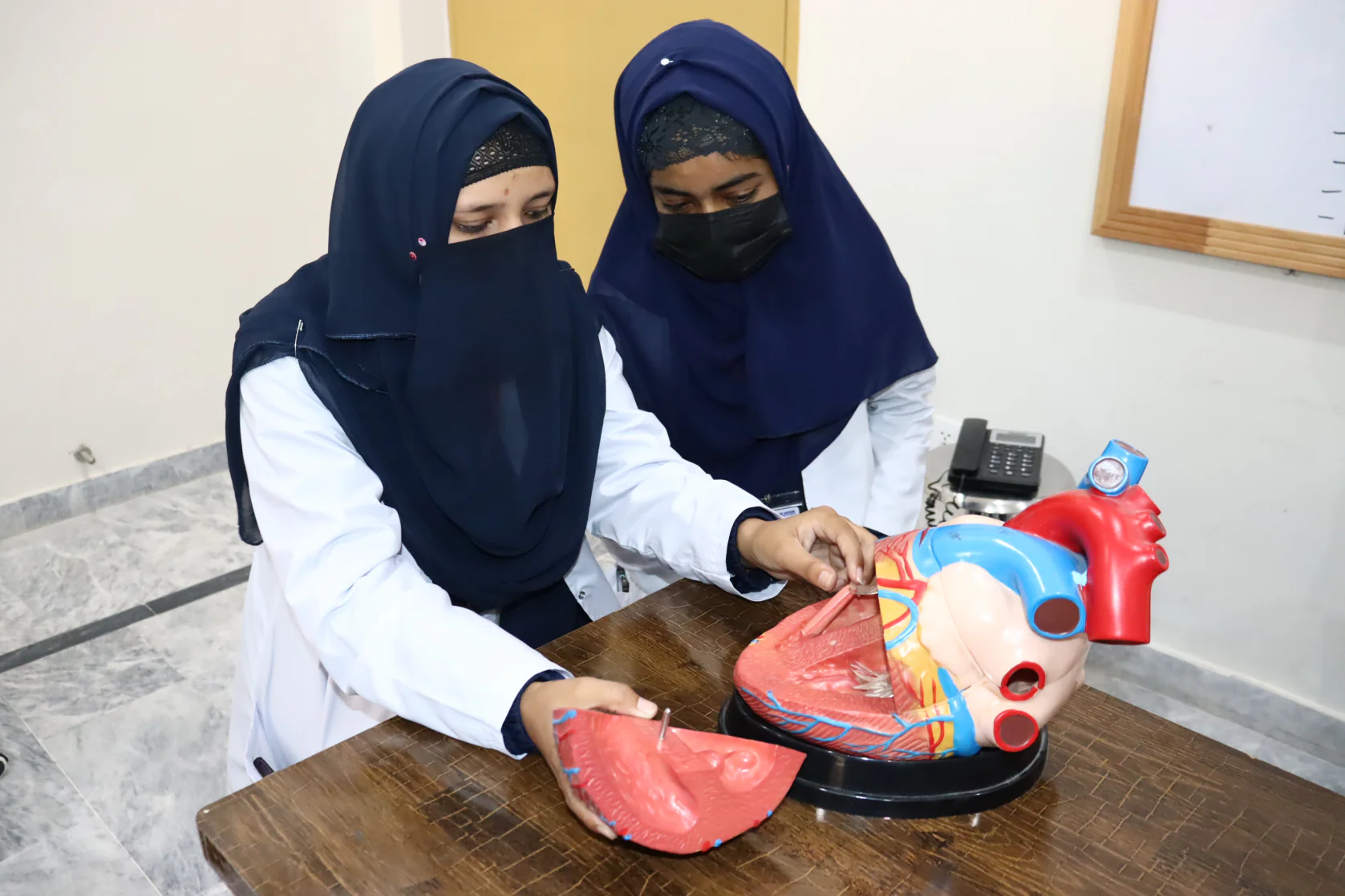 Medical Lab Technology students at a departmental activity — photo 4