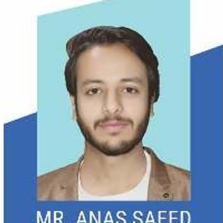 Portrait of Mr. Anas Saeed